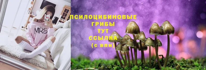 ссылка на мегу ссылки  Тюмень  Галлюциногенные грибы прущие грибы 